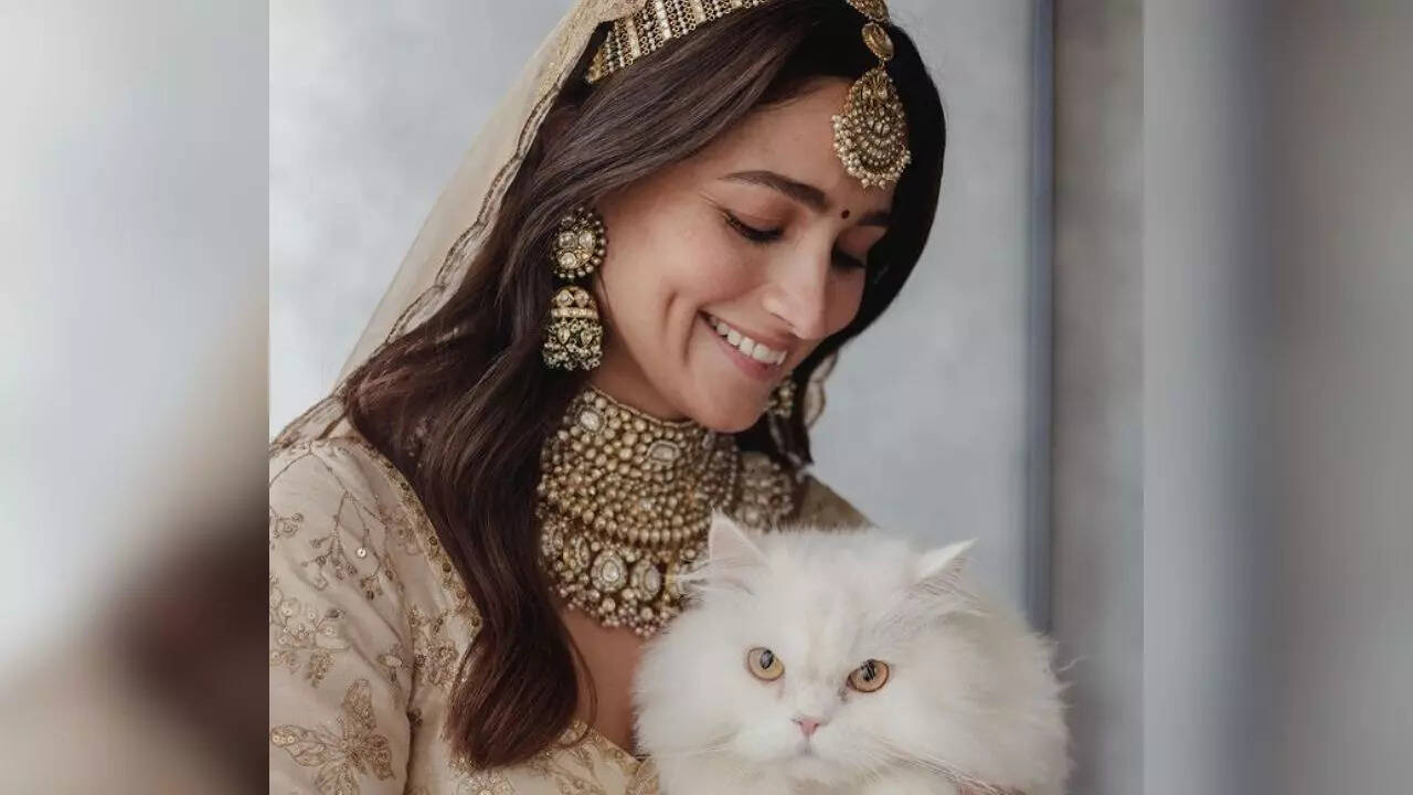 Alia Bhatt, International Cat Day 2023, International Cat Day