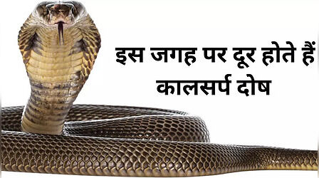 Kaal Sarp Dosh: इस जगह पर दूर होते हैं कालसर्प दोष, नाग पंचमी पर पूजा के लिए ये रहा पूरा ट्रैवल प्लान