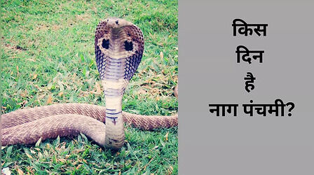 Nag Panchami Date 2023: किस दिन मनाया जाएगा नाग पंचमी का त्योहार, नोट कर लें सही डेट और पूजा का शुभ मुहूर्त