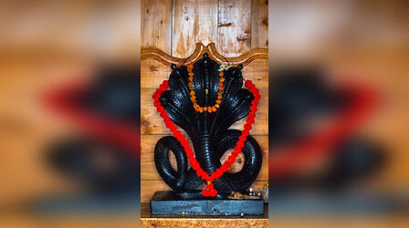 Nag Panchami 2023- नाग पंचमी पर गलती से भी ना करें ये काम, नहीं तो झेलना पड़ सकता है नुकसान