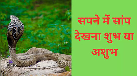 Nag Panchami 2024: सांप को सपने में देखना शुभ या अशुभ, जानें क्या है इसका मतलब