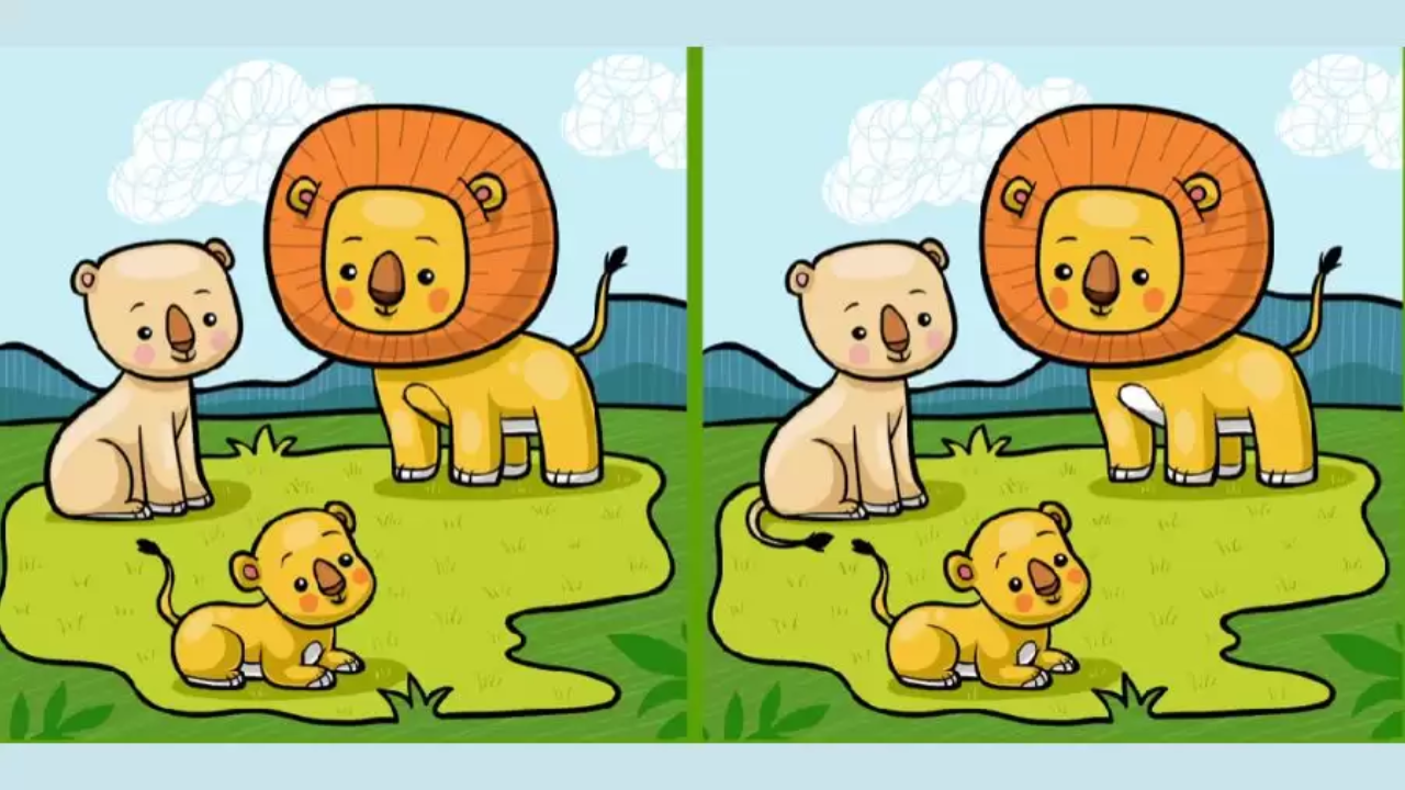 optical illusion, optical illusion photo, optical illusion images