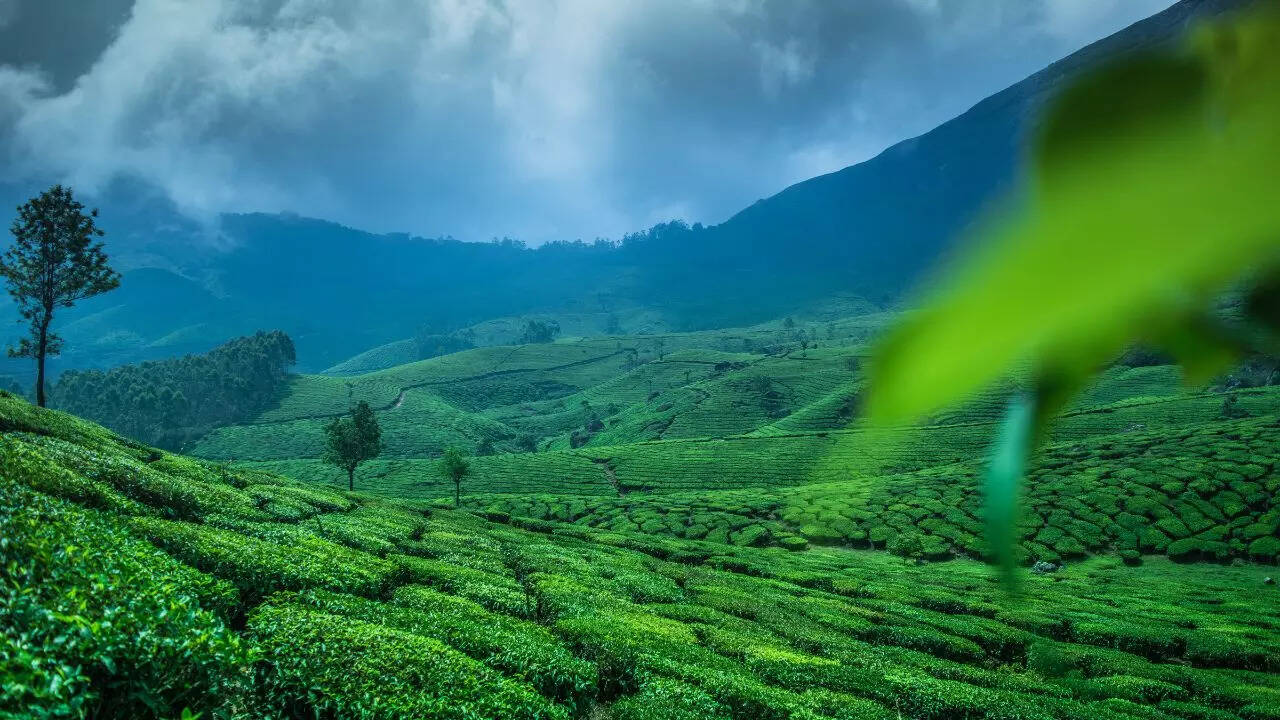 Kerala, IRCTC Kerala Package, IRCTC