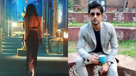 Naagin 7: फहमान खान के हाथ लगा एकता कपूर का अपकमिंग शो, लीड बनकर मारेंगे धांसू एंट्री
