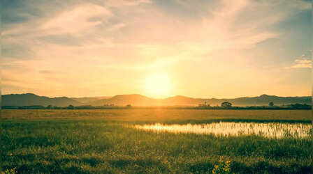 Sunday Morning Wishes: रिश्तेदारों और दोस्तों का संडे बनाएं स्पेशल, सुबह उठने के साथ मोबाइल पर भेजें ये खास मैसेजेस और विशेज