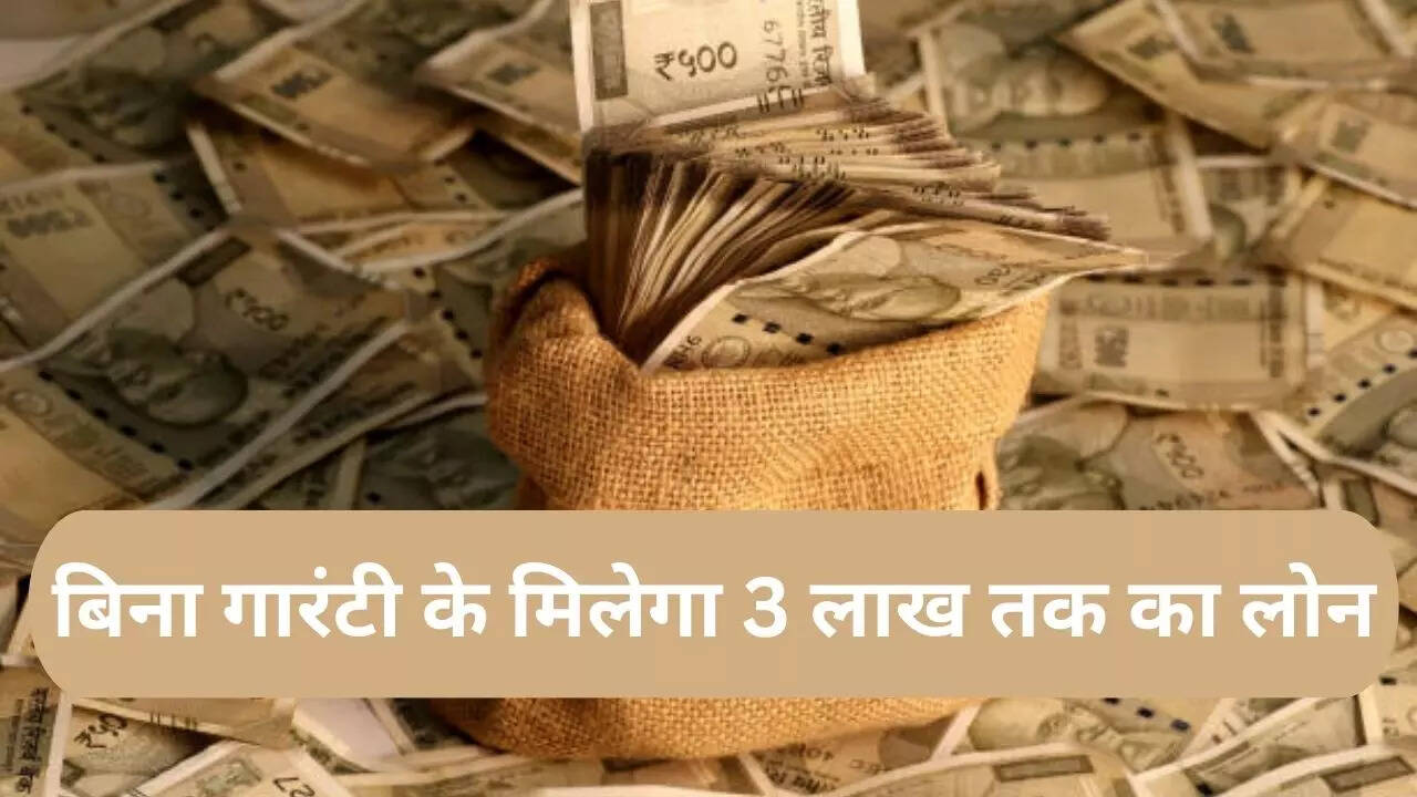 PM Vishwakarma Yojana, PM Vishwakarma Yojana loan, विश्वकर्मा योजना,