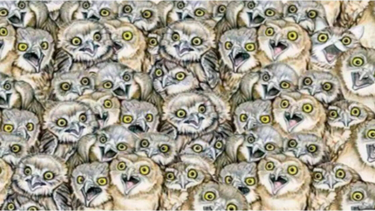 Optical Illusion