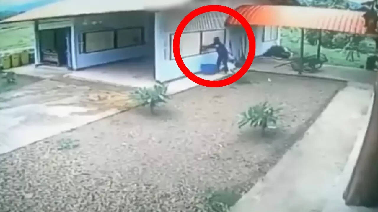 Funny Video Today