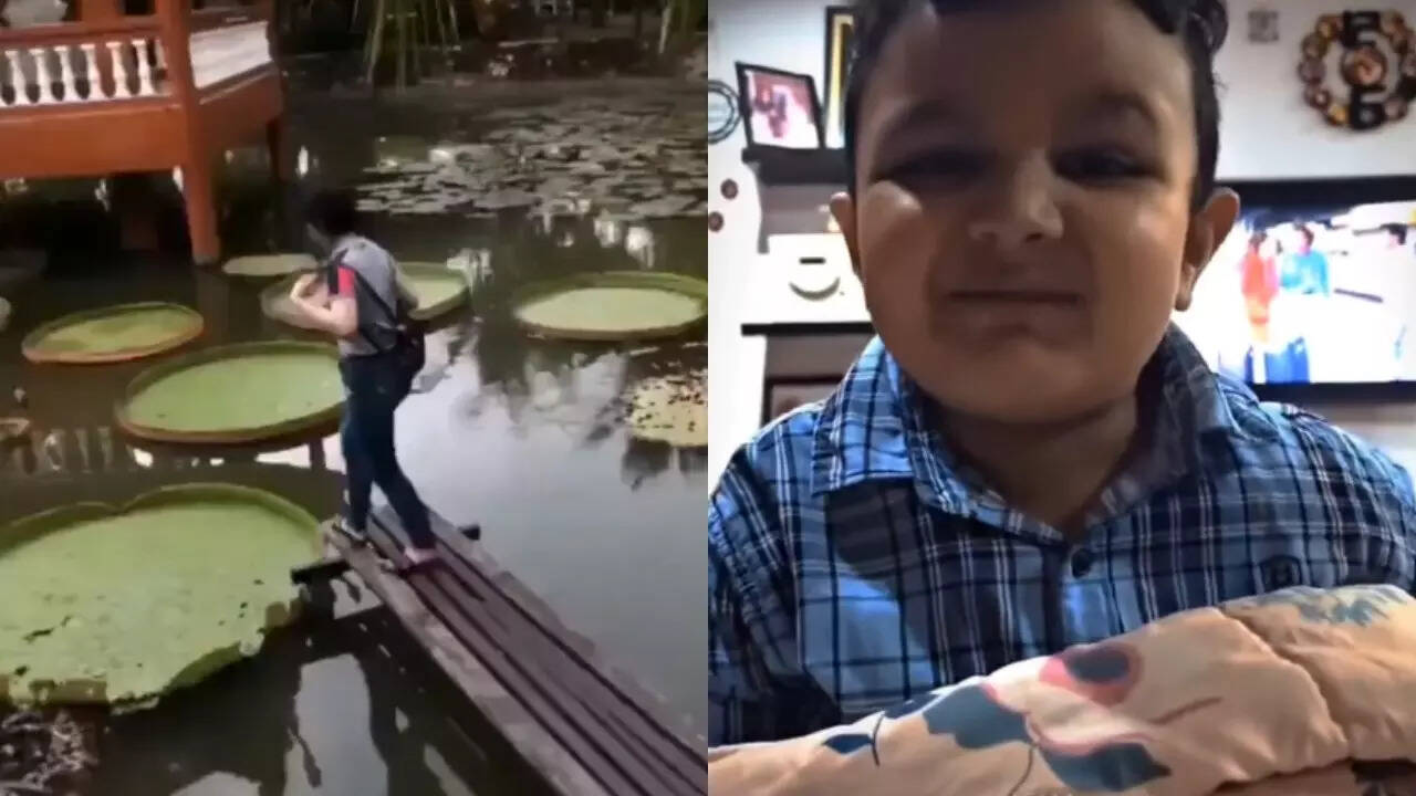 Funny Video Today