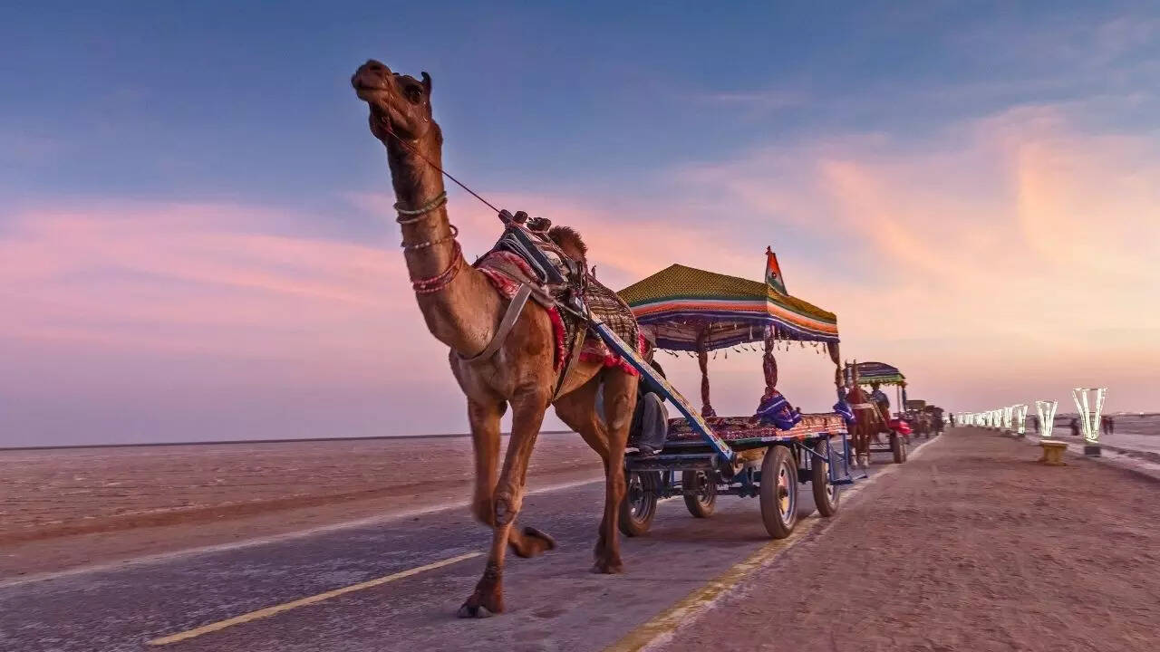 Rann Utsav, Rann Utsav 2023, Rann Utsav Date
