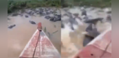 Shocking Video: सैकड़ों जिंदा मगरमच्छों के बीच से निकाली नाव, नजारा देख रूह कांप जाएगी, लोग बोले - असली डेयरिंगबाज