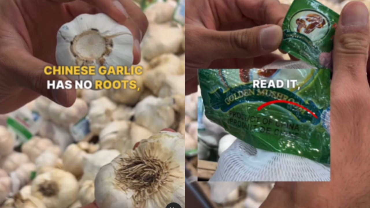 Fake Garlic In China Viral Video