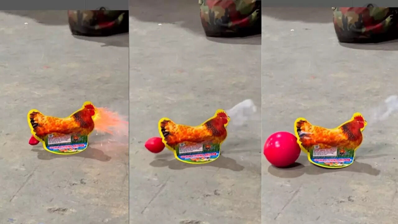 Cracker Funny Video Goes Viral on Social media | Times Now Navbharat