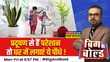 BB Trending पौधों कम करेंगे वायु प्रदुषण जानें Air Purifier Plants की खासियत