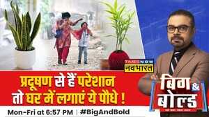 BB Trending पौधों कम करेंगे वायु प्रदुषण जानें Air Purifier Plants की खासियत