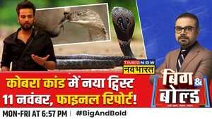 Big And Bold रिमांड पर राजदारखुलने लगा एल्विश का राज़
