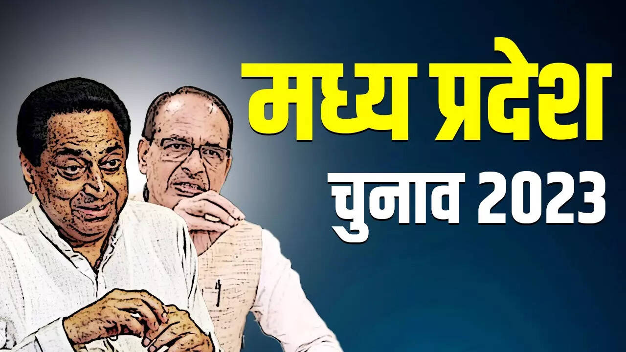 Madhya pradesh election
