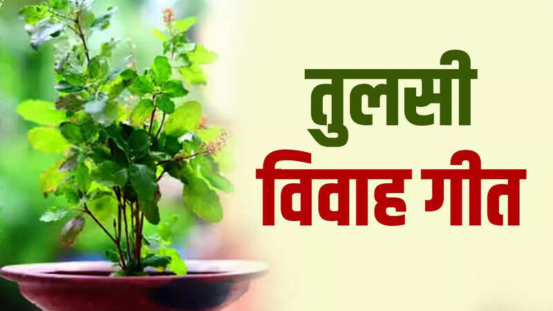 Tulsi Vivah Bhajan Lyrics In Hindi: तुलसी विवाह के समय जरूर गाएं ये गीत, सुख-समृद्धि की कभी नहीं होगी कमी