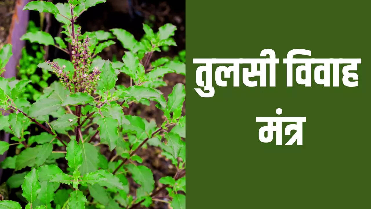 Tulsi Vivah mantra Lyrics