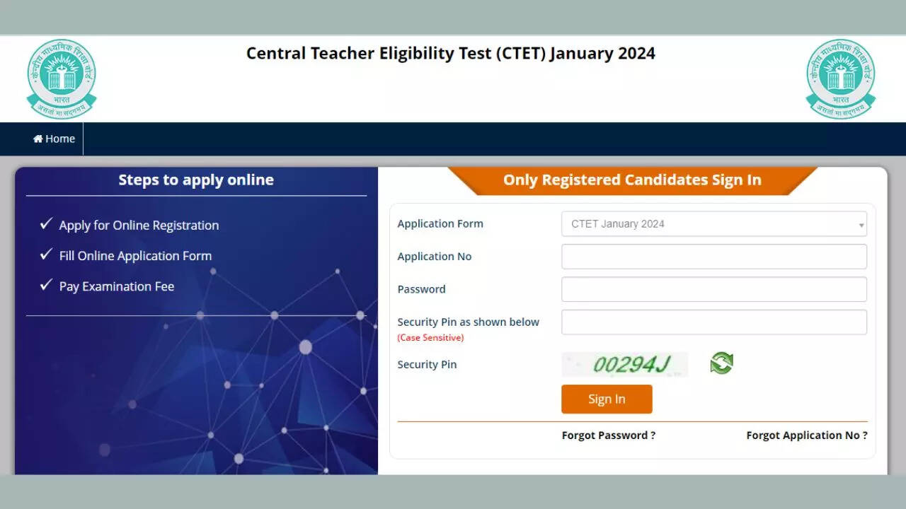 CTET Correction Window