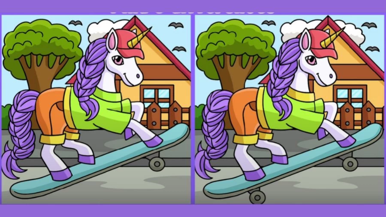 Optical Illusion Puzzle Photo
