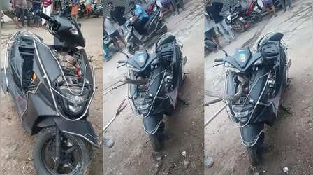 Snake Video: स्कूटर से निकला सात फीट लंबा कोबरा, वीडियो देख कांप जाएगी रूह