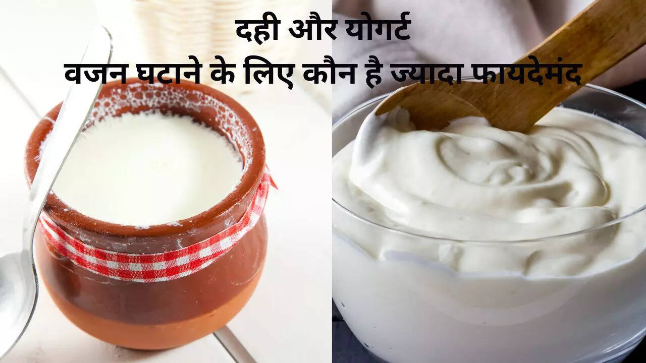Dahi, Yogurt, Weight Loss, Weight Loss Tips