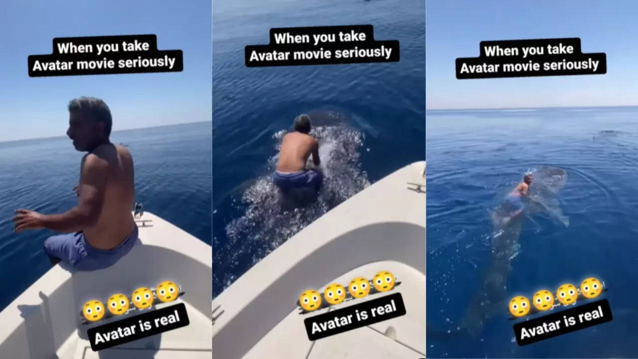 Whale Ride Viral Video