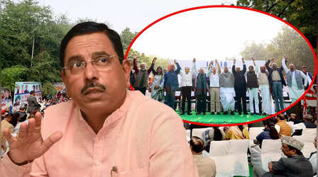 सरकार नहीं करना चाहती थी कार्रवाई, सांसदों ने ही की खुद के निलंबन की मांग; जानें पूरा विवाद