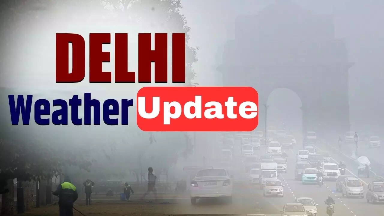 delhi weather forecast