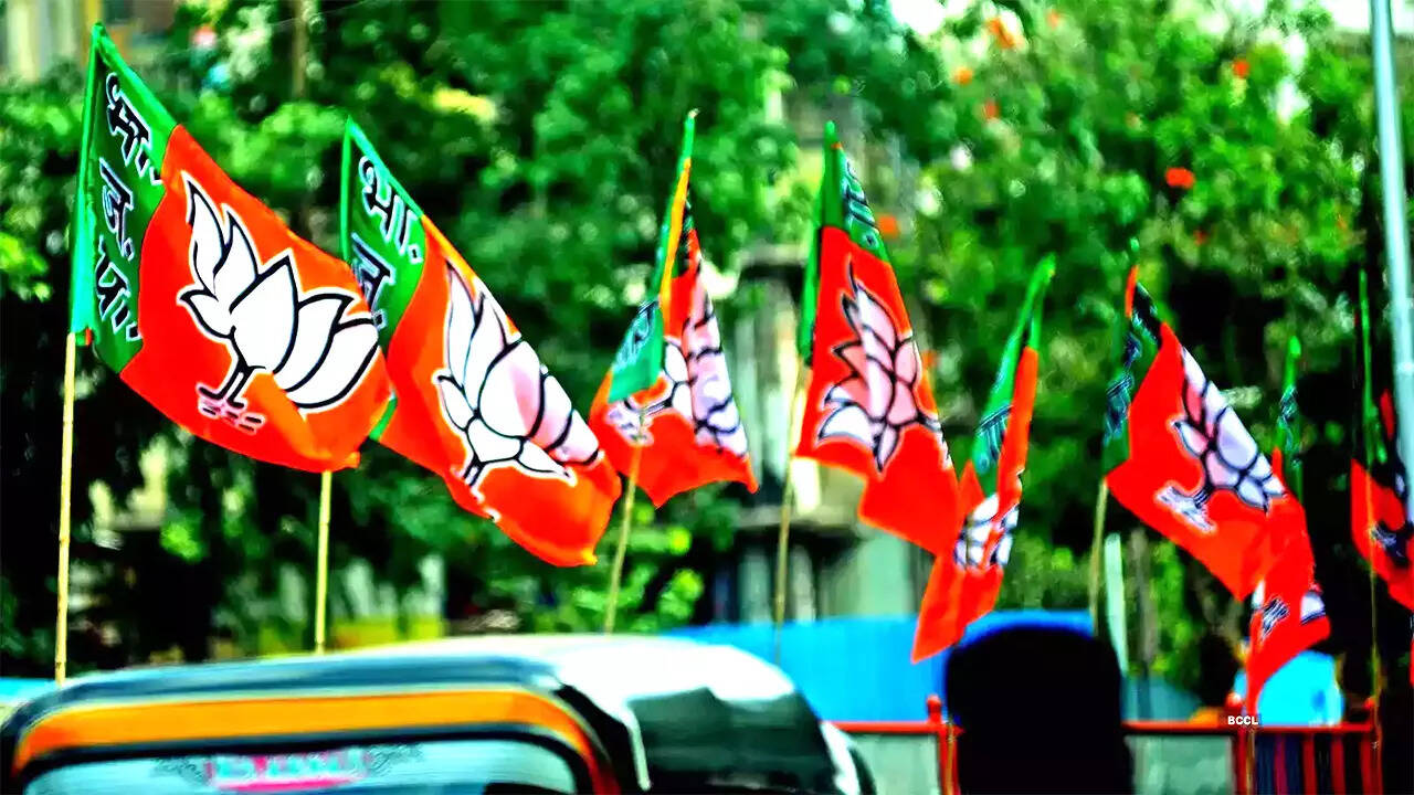 Delhi BJP Meeting