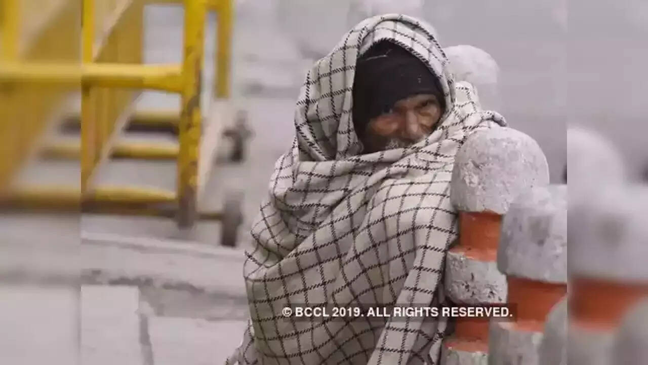 Fog and Coldwave in Jaipur