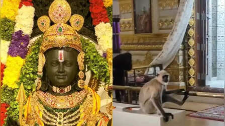 Ayodhya Ram Mandir: राम मंदिर के गर्भगृह में बंदर ने किया प्रवेश, भक्तों ने बताया भगवान हनुमान