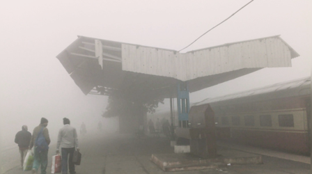 UP Punjab Weather Report: कड़ाके की ठंड के बीच पाले ने मचाया कहर, इतने दिन और छाया रहेगा घना कोहरा