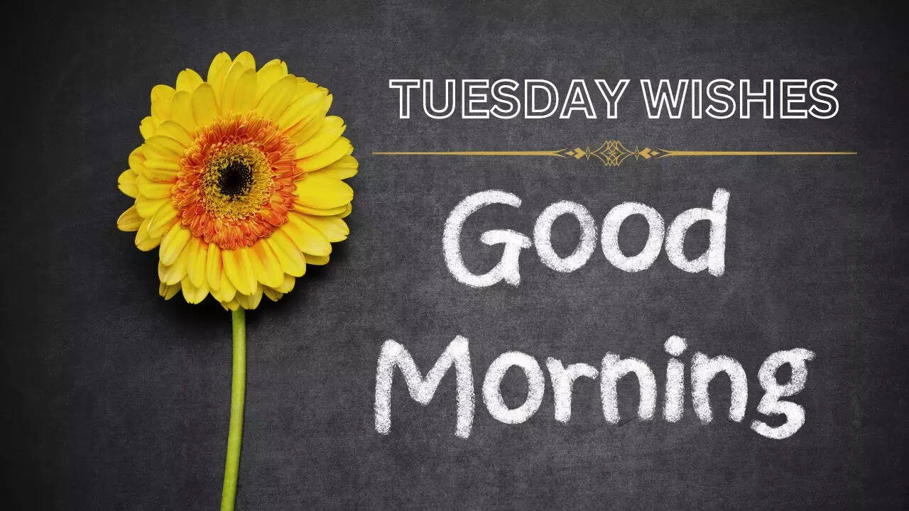 TUESDAY GOOD MORNING WHATSAPP WISHES QUOTES IN HINDI