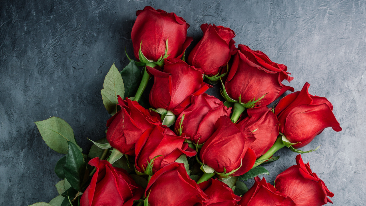 Rose day Good Morning wishes, Good morning love shayari, Morning wishes rose day (1)