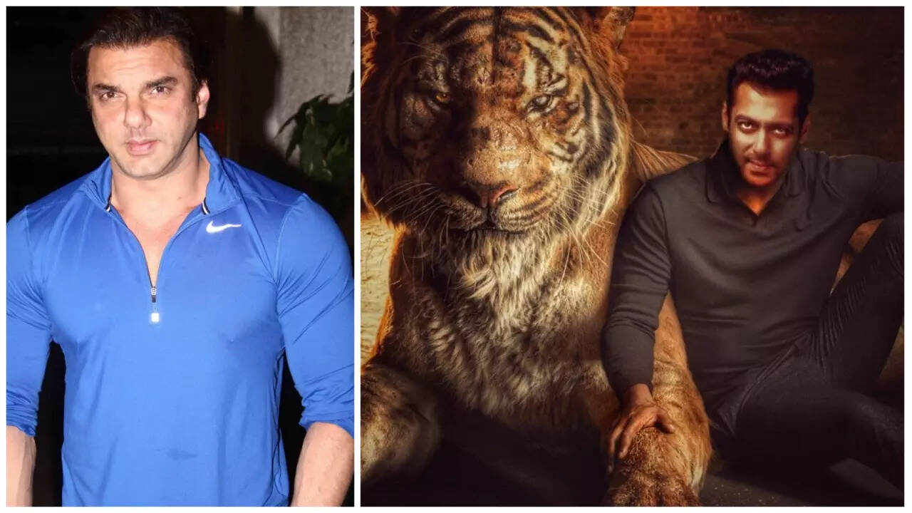 Sohail and Salman Khan