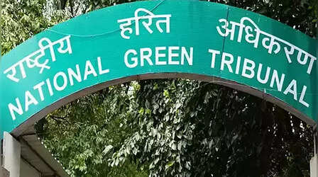 NGT को सौंपी गयी CPCB रिपोर्ट दर्शाती है कि 80 प्रतिशत पर्यावरण रकम इस्तेमाल नहीं की गयी