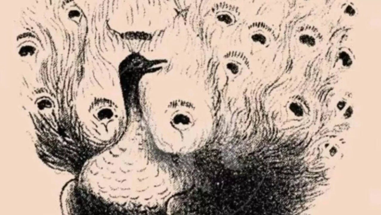 Brain Test