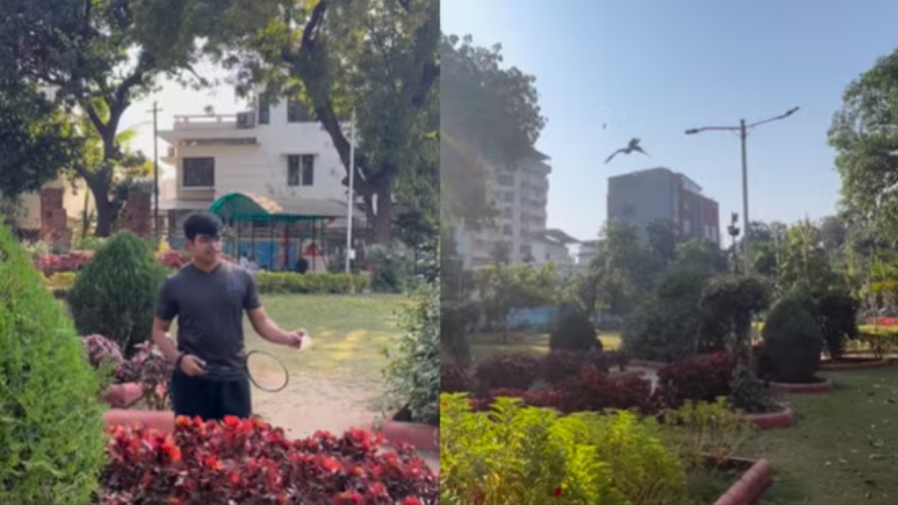 viral video, badminton match with eagle, eagle badminton match, badminton match eagle video, eagle viral video, viral news, news in hindi, hindi news
