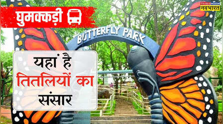 रंग-बिरंगी तितलियों का घर है यहां, दिल्ली की भीषण गर्मी में सुकून देती है ये जगह