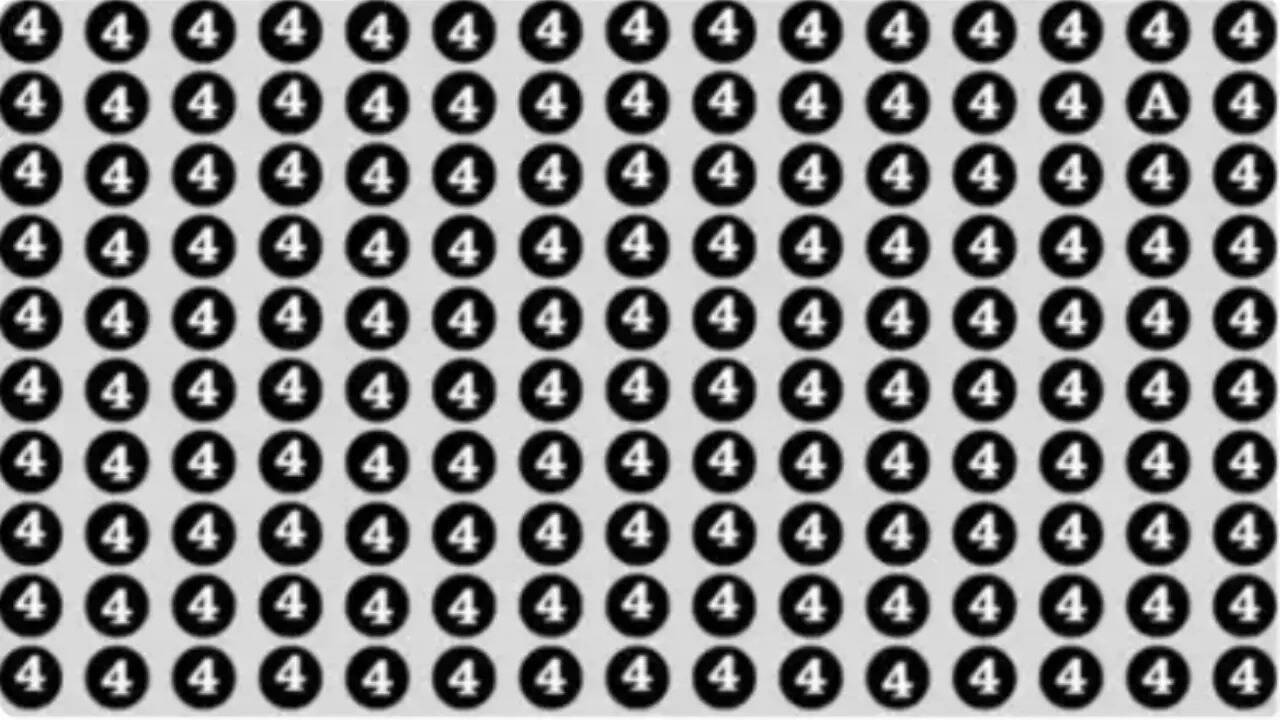 Brain Test Photo