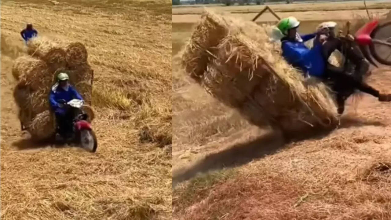 Funny Video