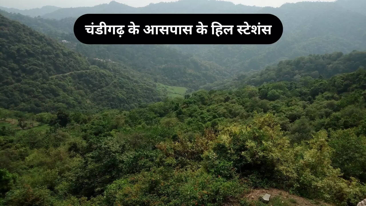 Best Hill Stations Near Chandigarh, Hill Stations Near Chandigarh, Hill Stations Nearby Chandigarh