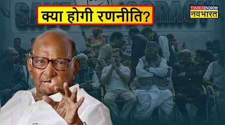 अब कितना अहम होगा शरद पवार का रोल? मराठा चाणक्य पर टिकी 'INDIA' की निगाहें