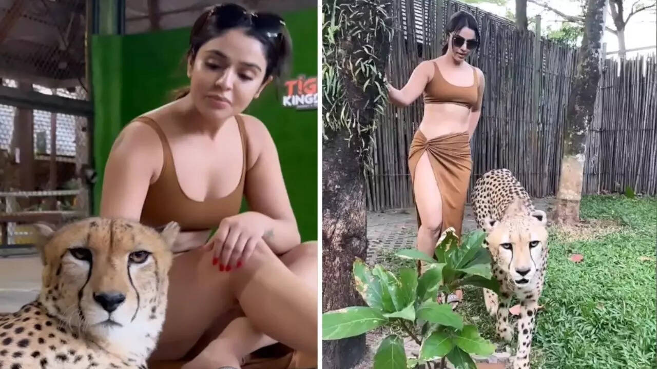 girl with tiger