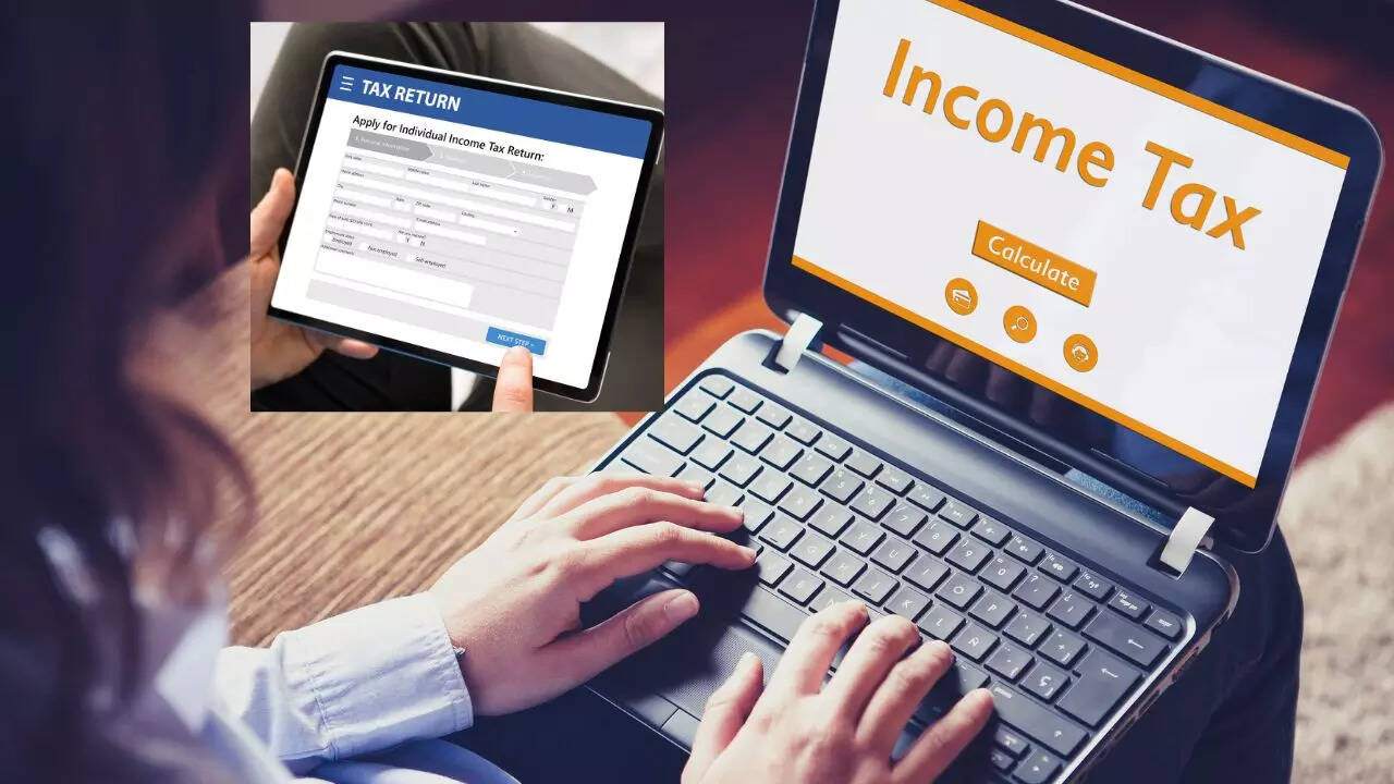 Income Tax Return Portal Profile Update