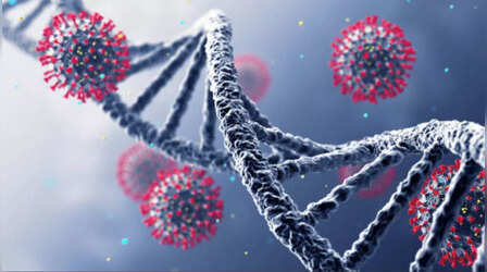 Chandipura Virus: गुजरात में खतरनाक वायरस की एंट्री, पांच दिन में छह बच्चों की गई जान