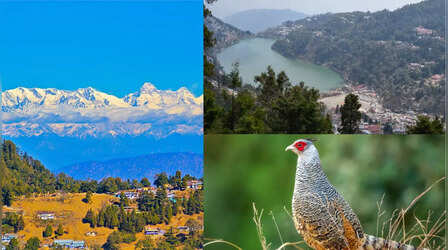 अंतर्राष्ट्रीय युवा दिवस पर घूम आएं उत्तराखंड की ये खास जगह, स्वामि विवेकानंद को पसंद था धरती का यह स्वर्ग