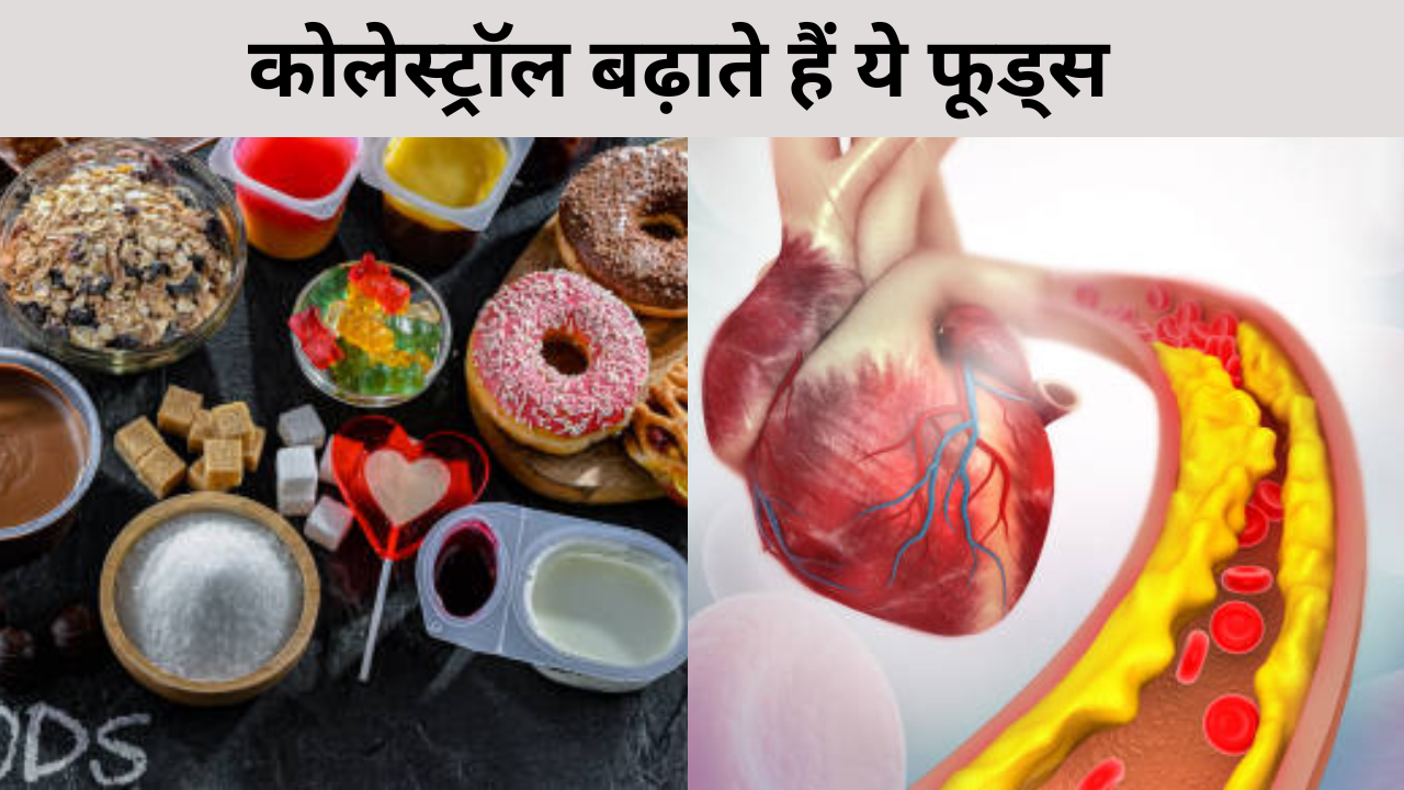 Food to increase cholesterol